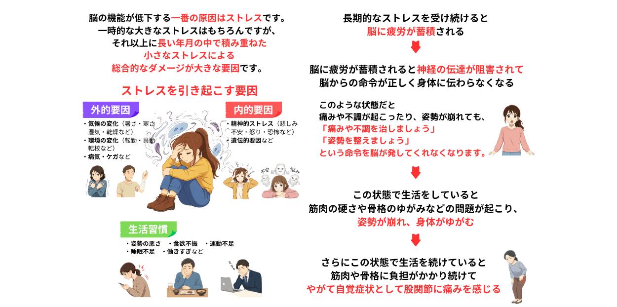 ストレスが脳の機能低下の原因　ストレスが身体に与える影響